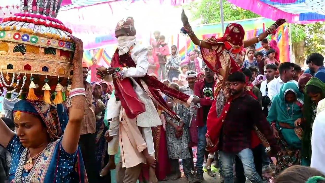 🏹આદિવાસી વિસ્તારમાં ન લગ્ન 2025 🏹🌳#johar #aadibasivideo 