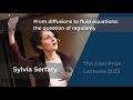 Sylvia Serfaty: From diffusions to fluid equations: the question of regularity