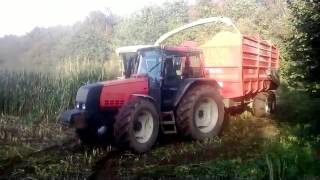 Ensilage mais 2015  en cotes d'armor