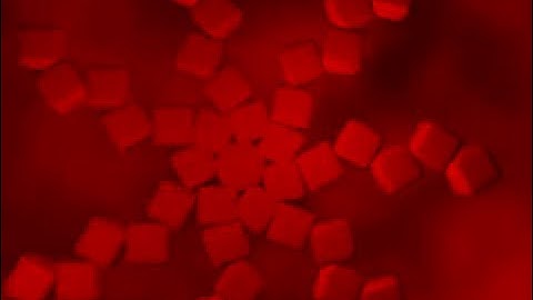 Blender 3D      Array  demo