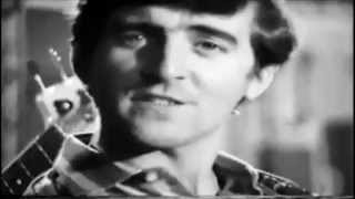 The Swinging Blue Jeans - Good Golly Miss Molly