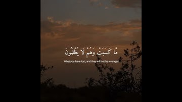 { واتقوا يوما ترجعون فيه إلى اللّٰه } سورة البقرة | إدريس أبكر [ القرآن الكريم ] تلاوة خاشعة 🤍