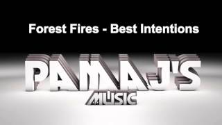 Forest Fires - Best Intentions