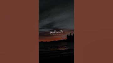 حالات واتس قران كريم | محمد صديق المنشاوي | ولا تكونوا كالذين نسوا الله فانساهم انفسهم