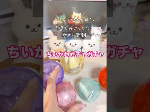 【ガチャガチャ】ちいかわ激戦すぎるけどポケモンにも出会えた日　#ガチャガチャ #ちいかわ #ちい活 #ポケモン