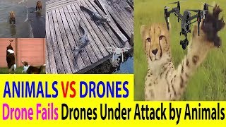 NEW Drone Fails | Drones Under Attack by Animals | ANIMALS VS DRONES Compilation