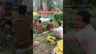 Save Life, Save Trees 🌳💚 | Har Ped Ek Nayi Zindagi #GoGreen #Nature #GreenEarth #Environment