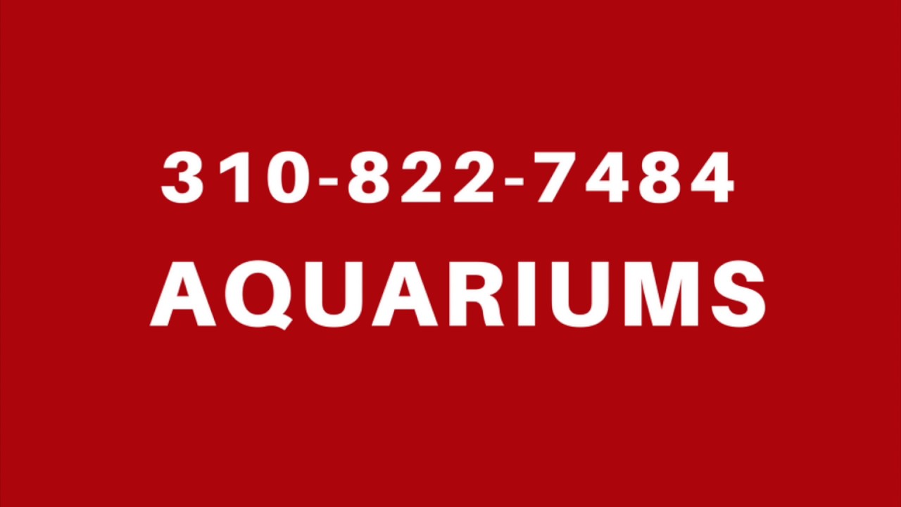 🐠 CUSTOM ACRYLIC GLASS BUILT IN TROPICAL FISH REEF AQUARIUMS FOR SALE