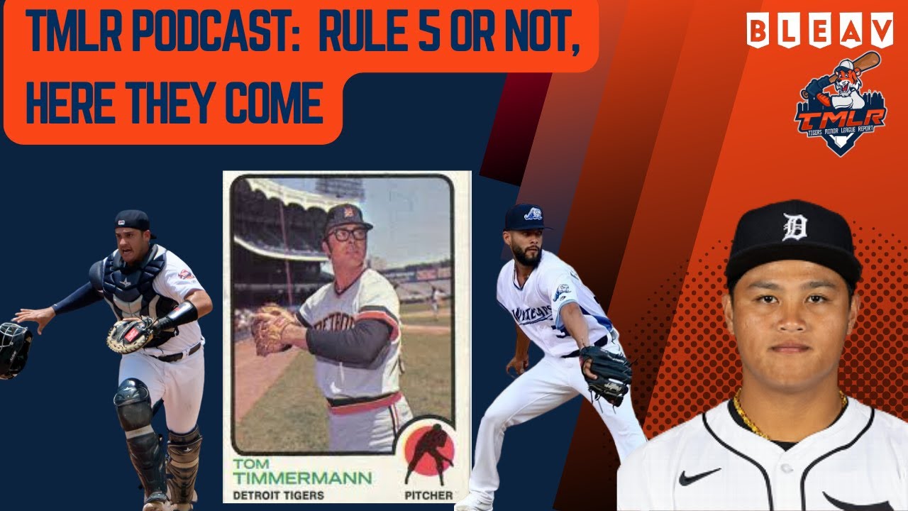 Detroit Tigers Qualifying Offer Season: Glayber Torres comes back?
