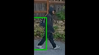 Elderly woman assaulted in Seattle