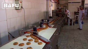 cake, bread, cookies, biscuit automatic packaging line, automatic packaging machine