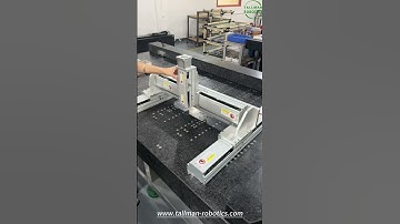 Linear Gantry Robot System (X1,X2,Y,Z)from TallMan Robotics