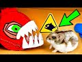 🐹JAWS Hamster Maze with Traps 😱[OBSTACLE COURSE]😱