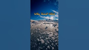 وَلَقَدْ خَلَقْنَا الإِنسَانَ مِن سُلالَةٍ مِّن طِينٍ/سورة المؤمنون #القران_الكريم #ياسر_الدوسري