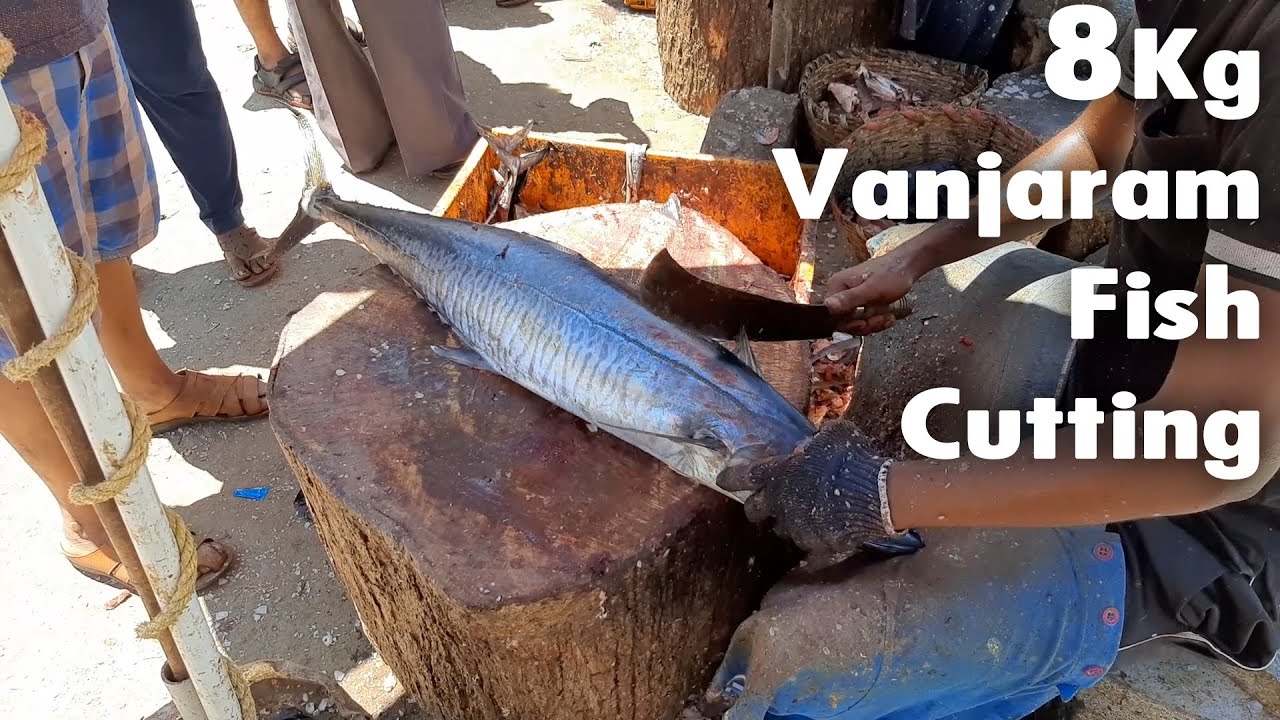 8 Kg Fish Cutting Skills Kasimedu Fish Market Chennai India's