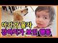 Dog&#39;s reaction when baby&#39;s crying