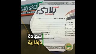 أقل حاجة 100 دولار   تفاصيل شهادة بلادي الدولارية من البنك الأهلي المصري