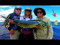 HEART-RACING Mahi Mahi fights at the FADs!