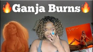 EMOTIONAL Reaction to Nicki Minaj- Ganja Burns Music Video 😪