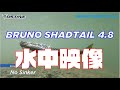 【公式】Bruno Shadtail 4.8インチ 水中映像