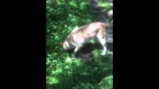 VID 20150810 WA0005