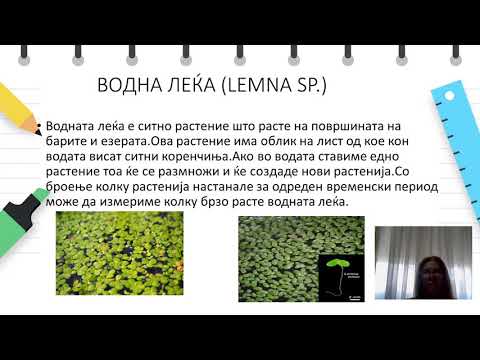 IX одделение - Биологија - Како различните хранливи состојки влијаат на растот на растенијата