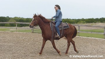 Master Spoon - jog, lope, stops! - ValleyViewRanch.net