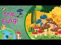 What are Fungi? The Fungi Kingdom for Kids (Learning Videos For Kids)