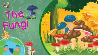 What are Fungi? The Fungi Kingdom for Kids (Learning Videos For Kids)