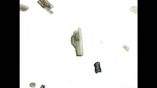 Hornblende - heavy mineral strewn slide