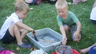 Our Future In Focus: Active & Learning