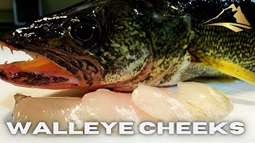 Walleye Cheeks - How to Remove and Simple Recipe