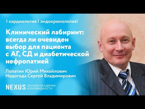 Клинический лабиринт: всегда ли очевиден выбор для пациента с АГ, СД и диабетической нефропатией