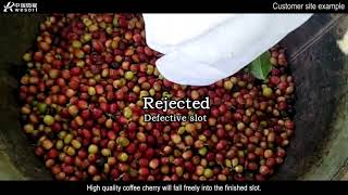 Wesort Coffee cherries Color Sorter