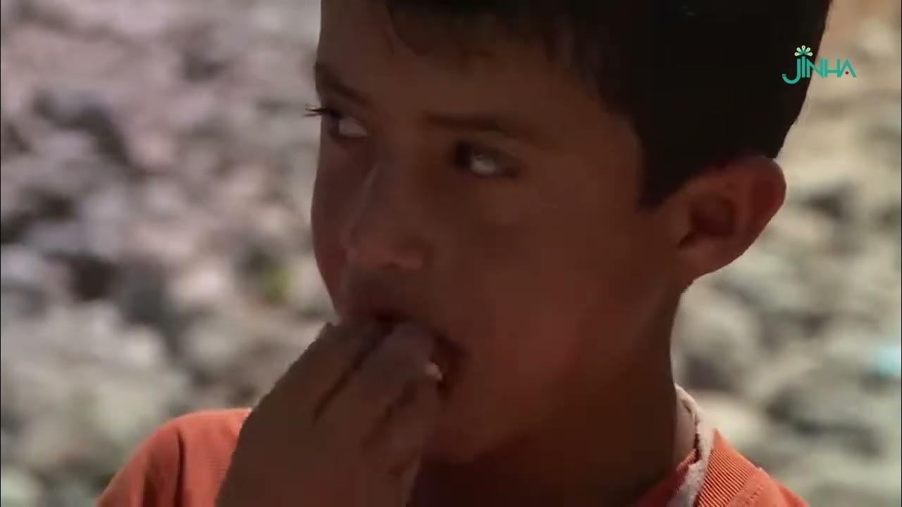   74     
 - 06:51-2025 / 8 / 3