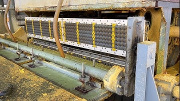 10000pcs/h Automatic Rotary Egg Tray Making Machine with Multilayer Dryer