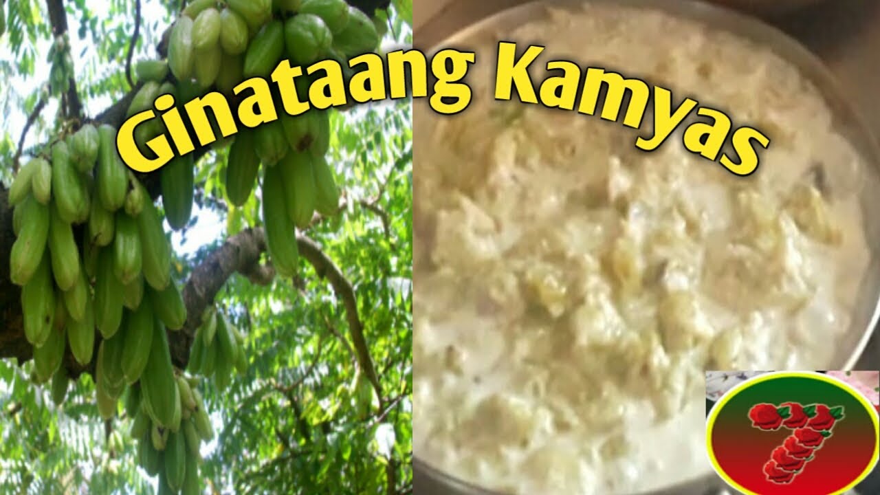 How to cook kamyas sa gata// healthy and affordable meal - YouTube