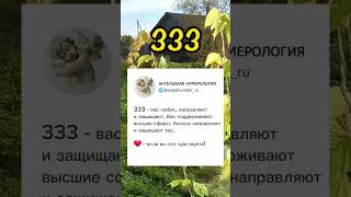 333 Ангельская нумерология 😇 #ангельскаянумерология #333