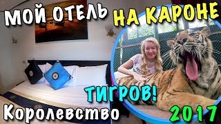 ПХУКЕТ СВОИМ ХОДОМ! 🔷 МОЙ ДЕШЕВЫЙ ОТЕЛЬ НА ПЛЯЖЕ КАРОН 🔸ЭКСКУРСИЯ КОРОЛЕВСТВО ТИГРОВ Февраль 2017 #7