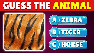 Can You Guess the Animal by Their Unique Textures? 🦁🔍 Guess the Animal Quiz 🐾✅