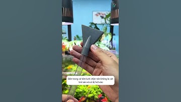 Bộ vòi hút cặn thay nước cho bể cá cực dễ sử dụng và tiện lợi #aquatic #shorts