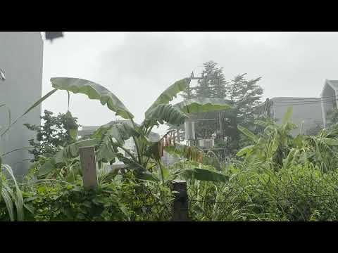 🌧️ Relaxing Rain Sounds for Deep Sleep, Stress Relief & Peaceful Night