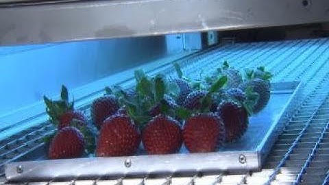 Ultraviolet light could extend shelf life of food and reduce waste