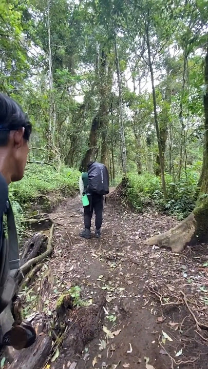 OH MY GOD, I WAS SO EXHAUSTED OR POSSESSED BY THE KODAM 😱 #viral #shorts #mountain #climber
