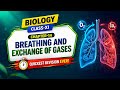 Breathing and Exchange of Gases | Class 11 Biology Chapter 14 | Quickest Revision Ever