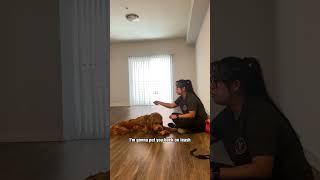 Taking your dog to someone’s house by PupScouts Dog Training 337 views 3 months ago 1 minute, 26 seconds