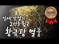 일제 강점기 조선을 휩쓴 황금광 열풍 / YTN 사이언스