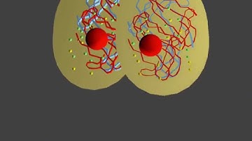 Interphase 4 animation