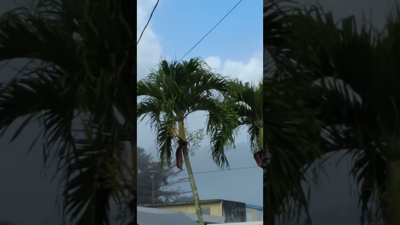 Mucha neblina comunidad deja de verse y fuertes  fríos 