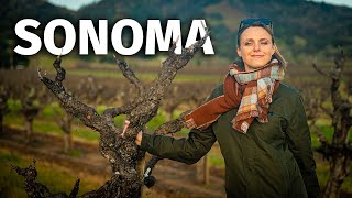 The Guide to SONOMA and its Wines